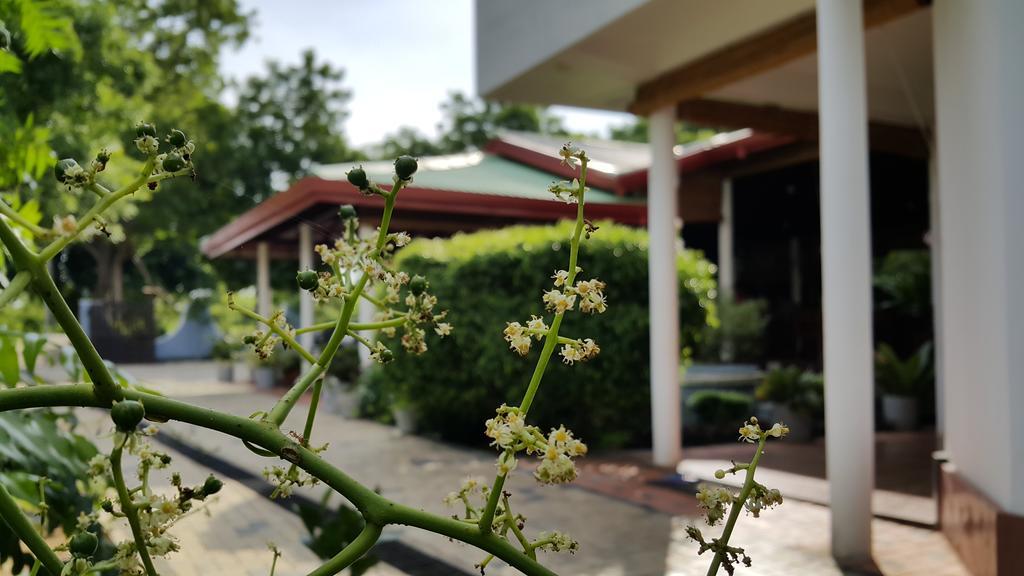 Sihilro Regency Hotel Udawalawe Buitenkant foto