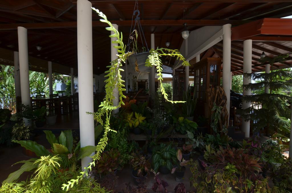 Sihilro Regency Hotel Udawalawe Buitenkant foto